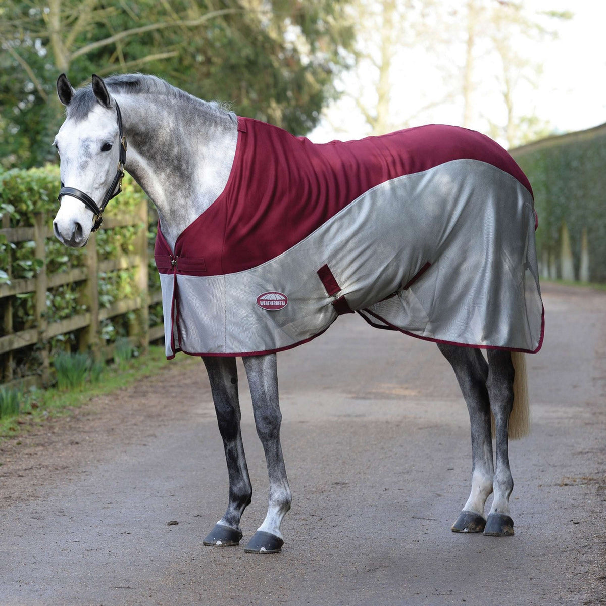 Weatherbeeta Microdispositivo di raffreddamento dell'aria St Neck Borgogna/Grigio