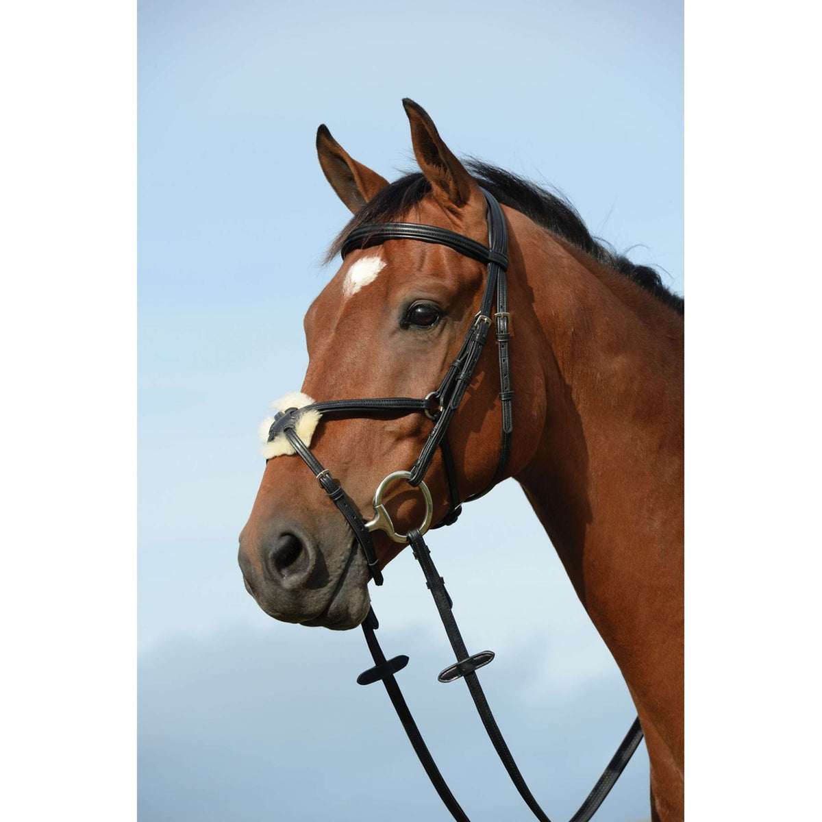 Collegiate Briglia Syntovia+ Figure 8 Nero