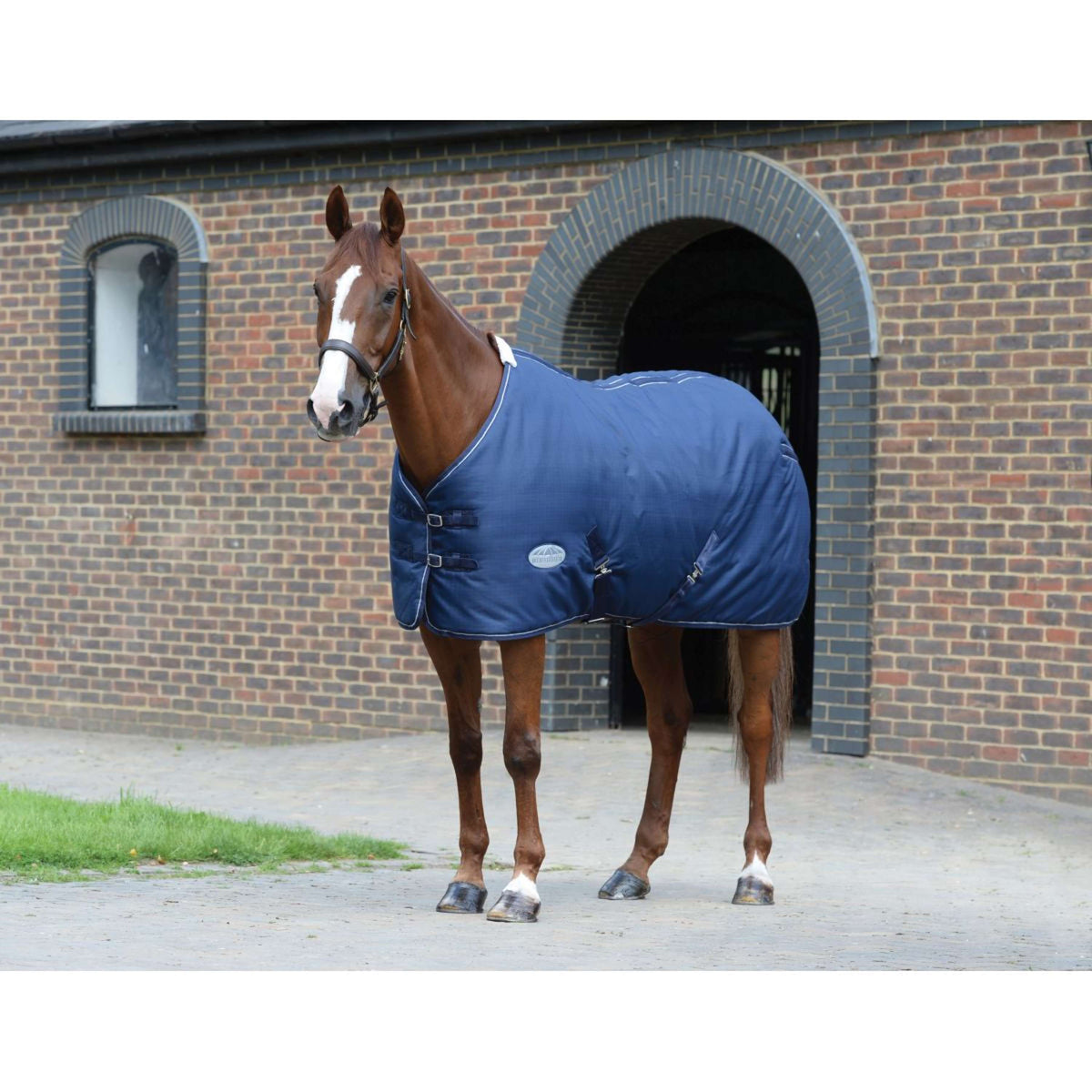 WeatherBeeta Coperta da scuderia 1200D Standard Neck Medium Blu marino/bianco