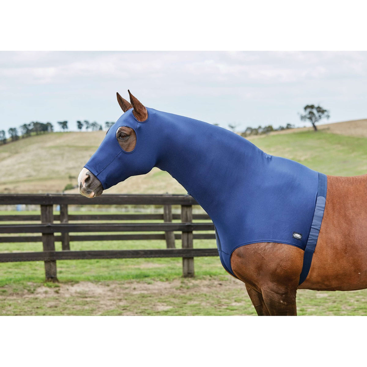 Weatherbeeta Hood Elasticizzato con cerniera Navy