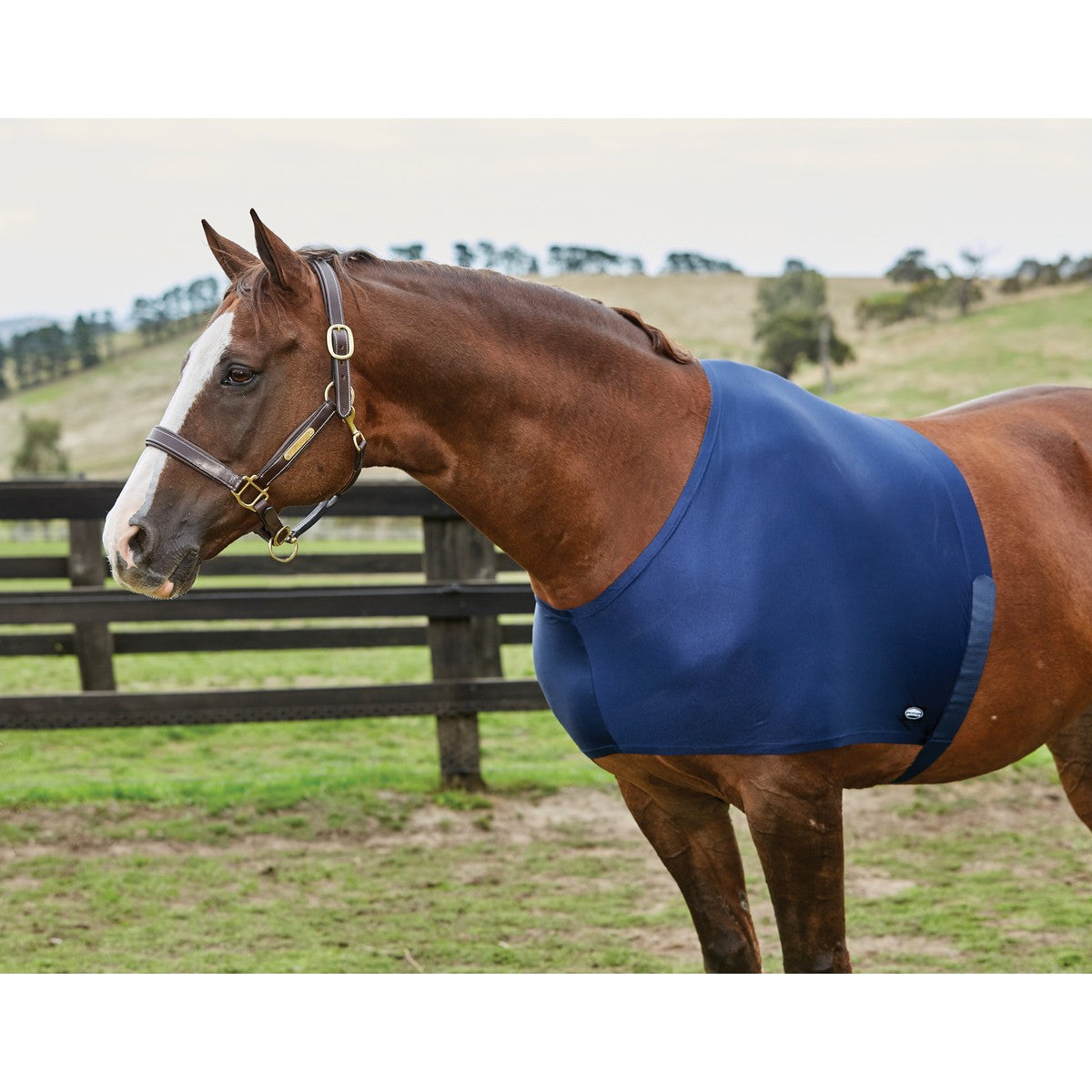 Weatherbeeta Guardia della spalla Stretch Navy