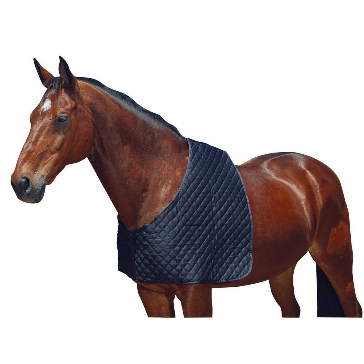 Weatherbeeta Protezione per le spalle Deluxe Nero