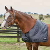 Weatherbeeta Guardia della spalla Satin Nero