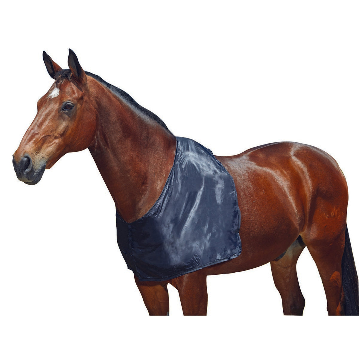 Weatherbeeta Guardia della spalla Satin Nero