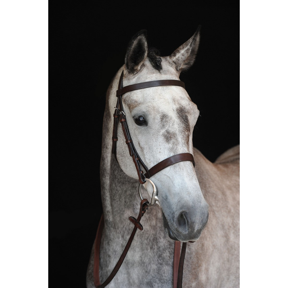 Collegiate Briglia IV Hunt Cavesson Marrone
