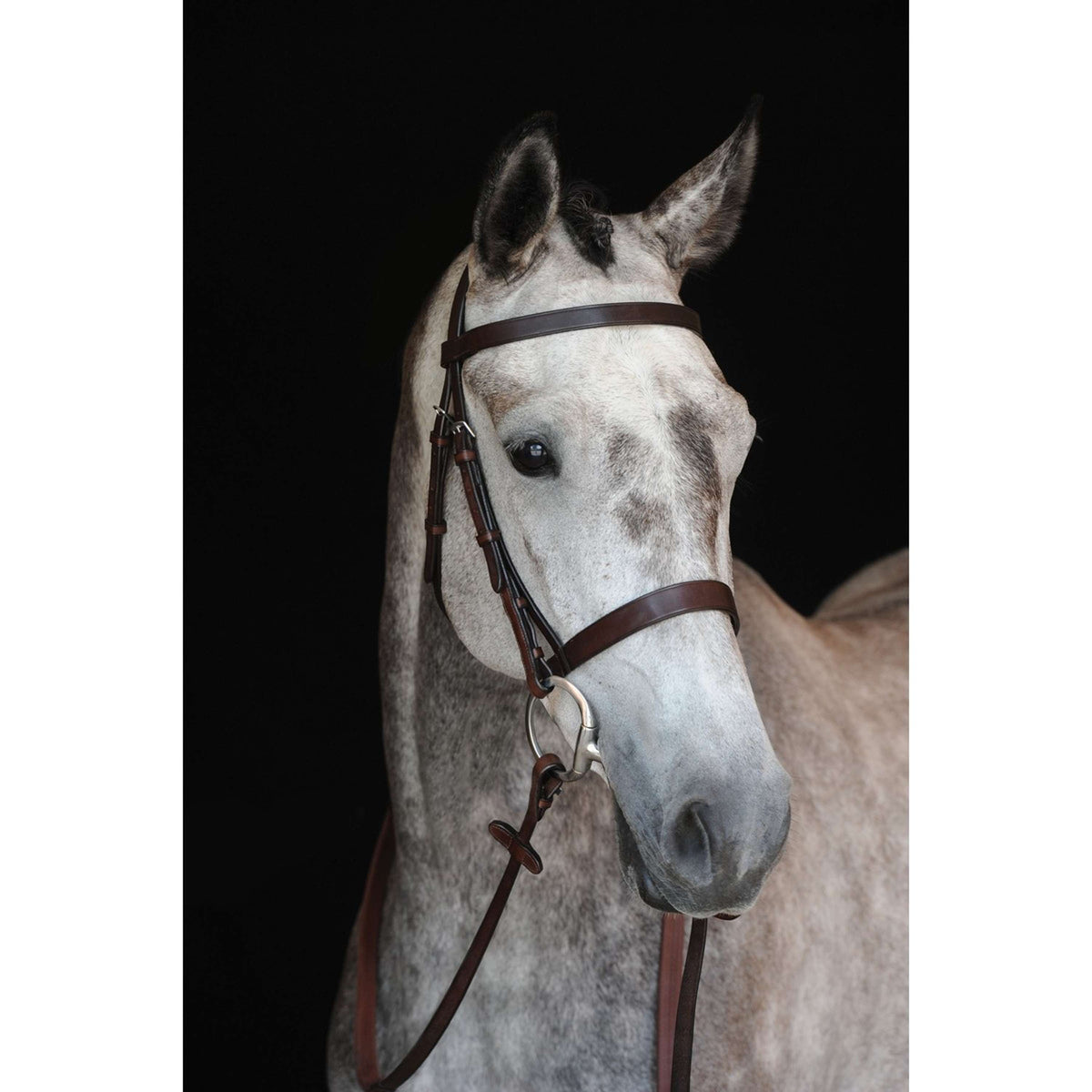 Collegiate Briglia IV Hunt Cavesson Marrone