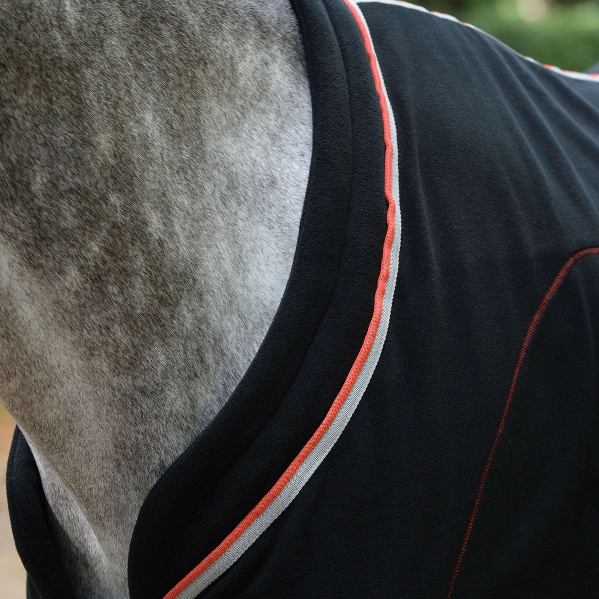 Weatherbeeta Collo standard Nero/Argento/Rosso