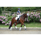 WeatherBeeta Sottosella da Dressage Prime Bianco