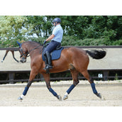 Weatherbeeta Bende in Pile Prime 4 Pezzi Navy