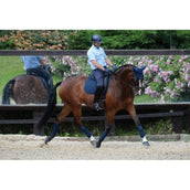 Weatherbeeta Bende in Pile Prime 4 Pezzi Navy