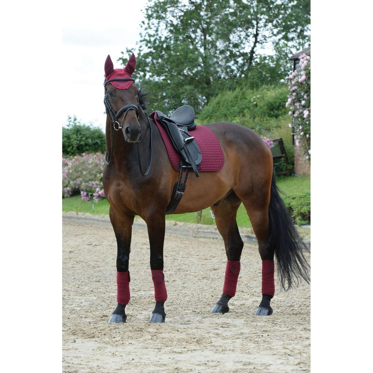 Weatherbeeta Bende in Pile Prime 4 Pezzi Maroon