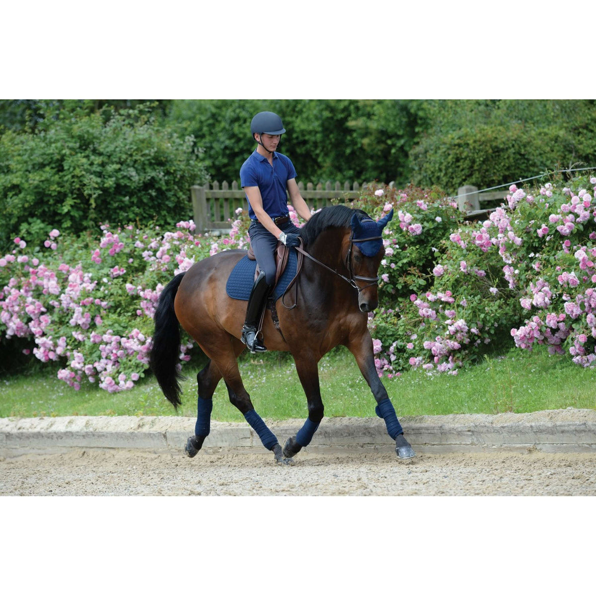 Weatherbeeta Bende in Pile Prime 4 Pezzi Navy