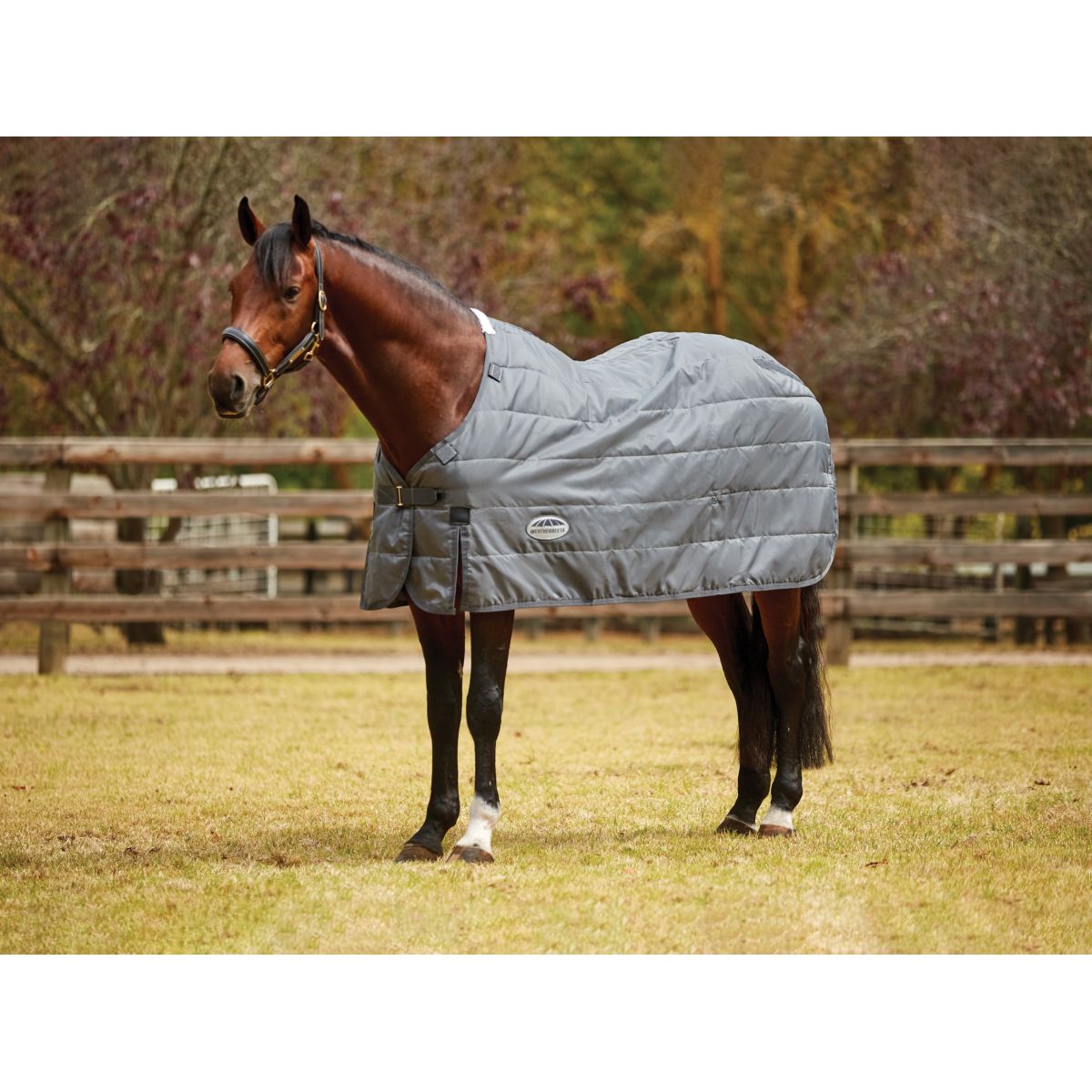 Weatherbeeta Coperta Invernale Comfitec Liner Medium/Lite Grigio