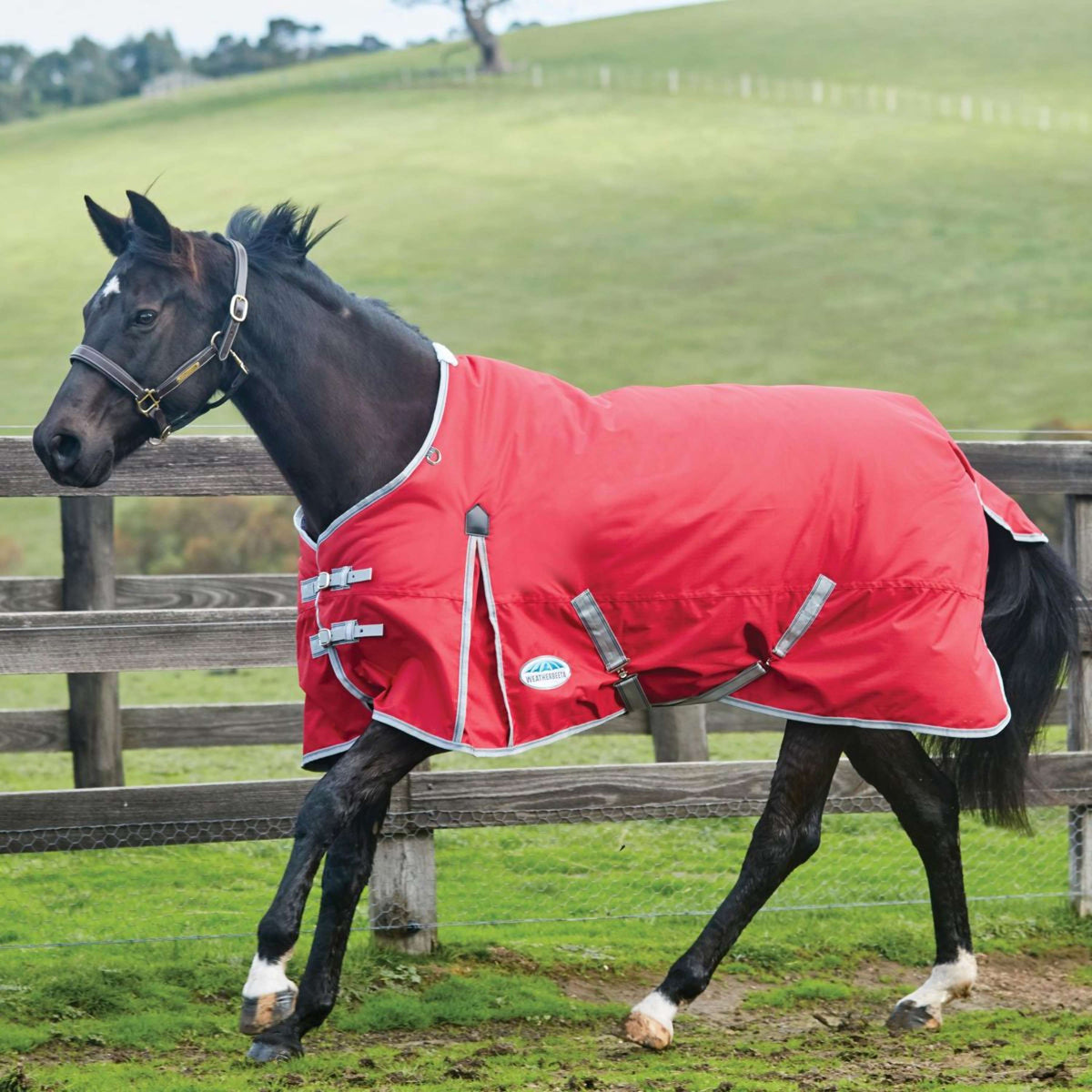 Weatherbeeta Coperta Invernale Comfitec Classic Standard Neck Medium/Lite Rosso/Argento/Blu marino