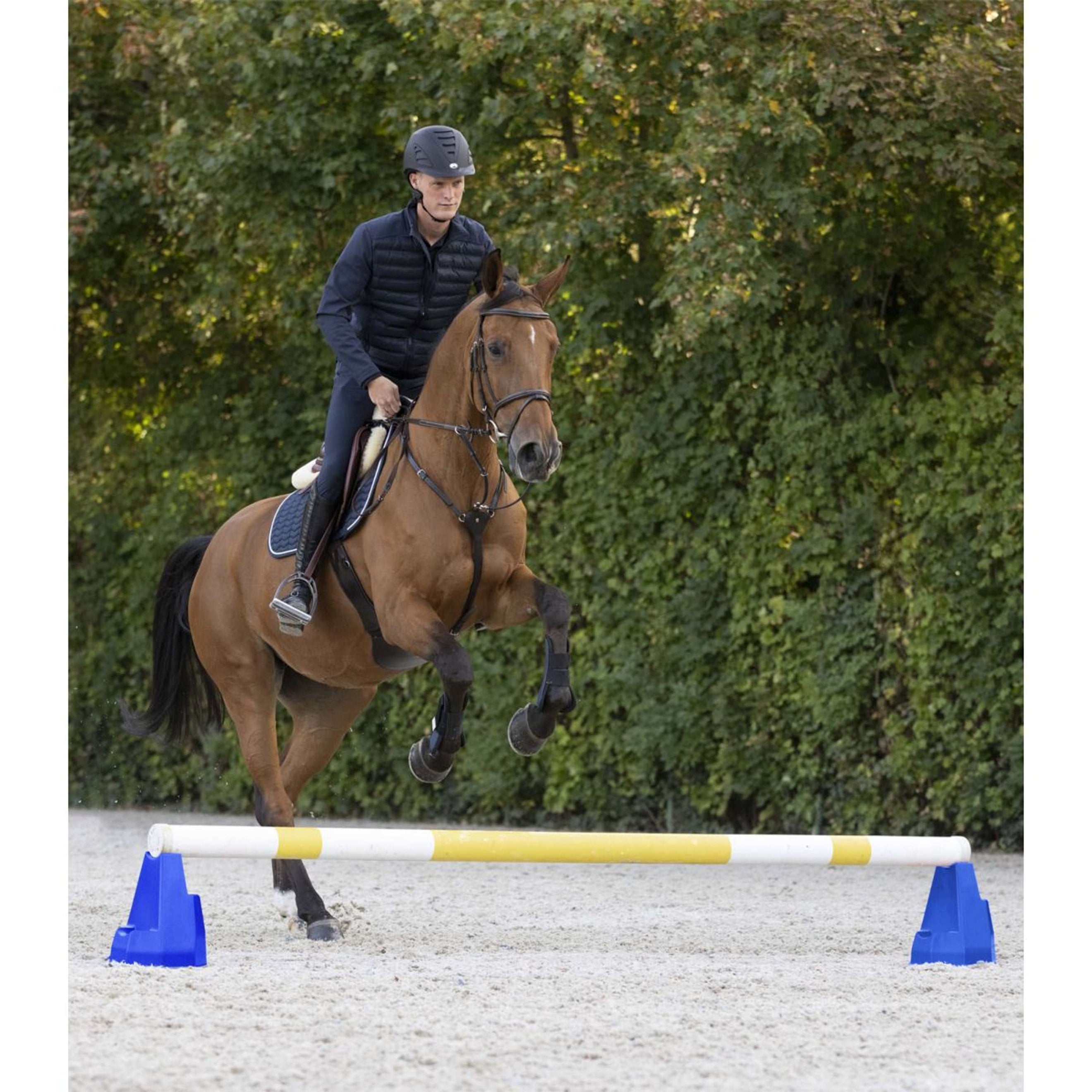 Waldhausen Blocchi cavaletti Blu