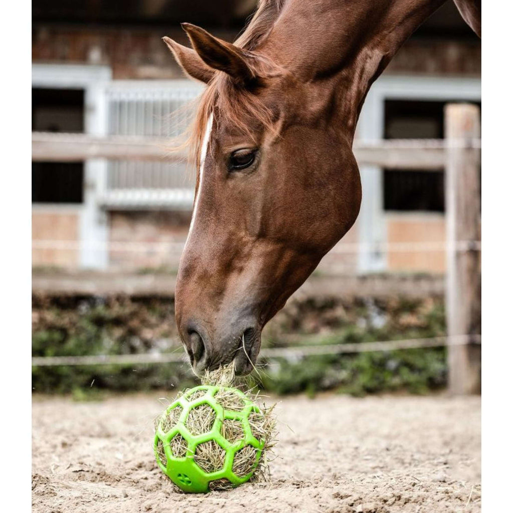 Waldhausen Palla di Fieno Verde