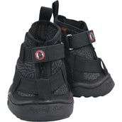 Equine Fusion Ferratura 2.0