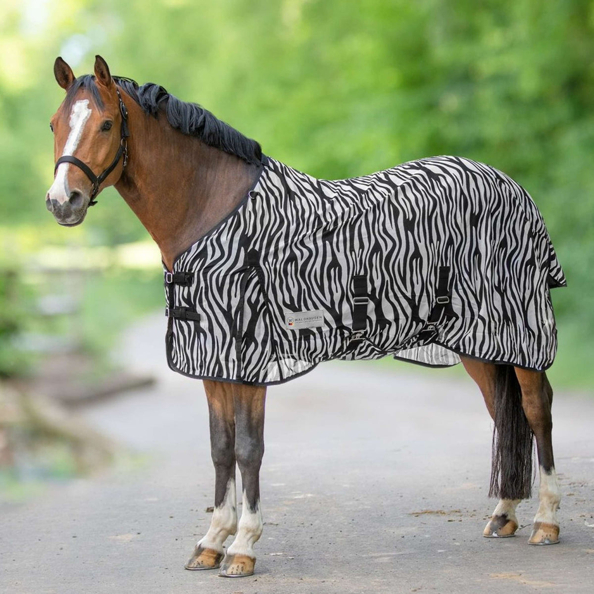 Waldhausen Coperta Antimosche Zebra