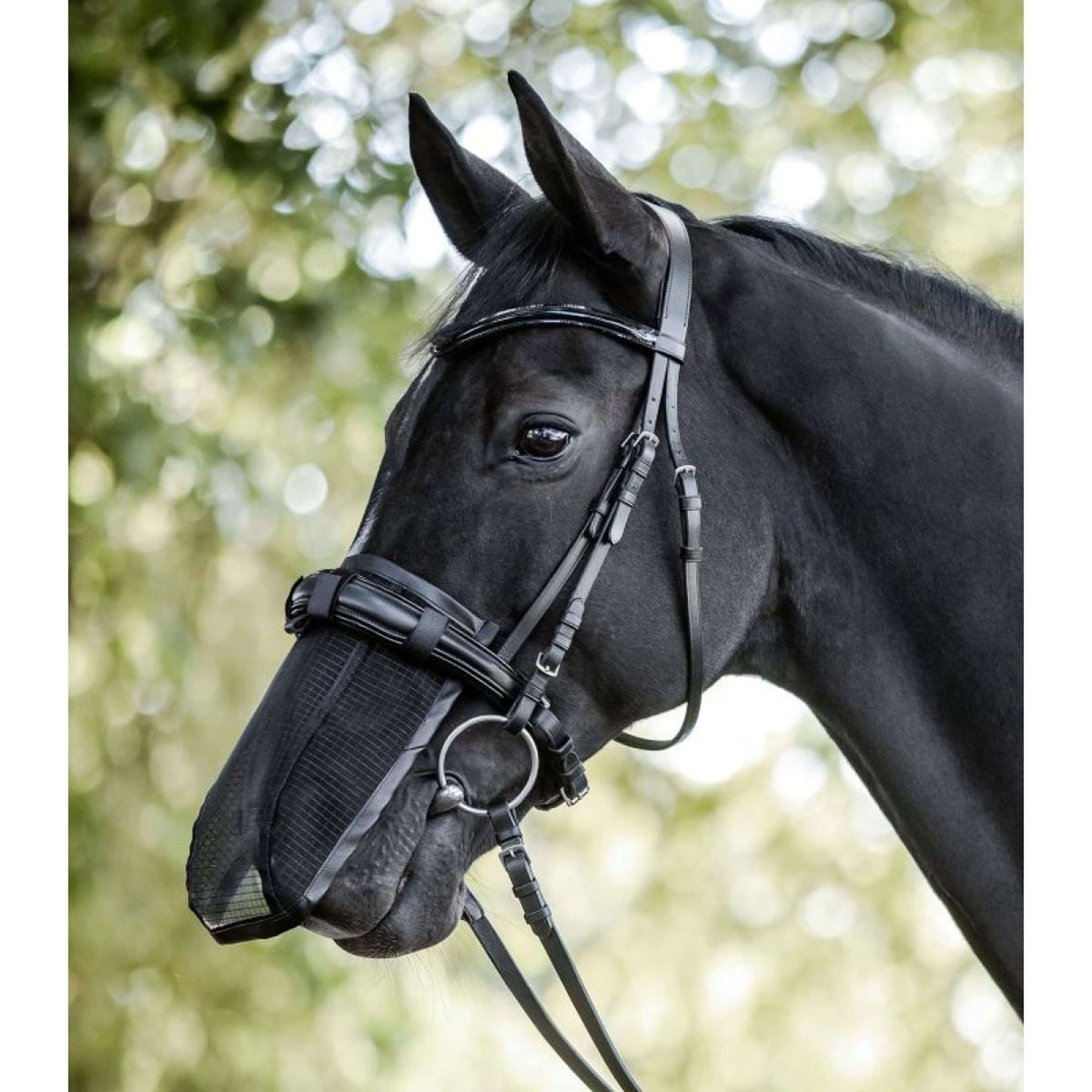 Waldhausen Rete nasale Nero