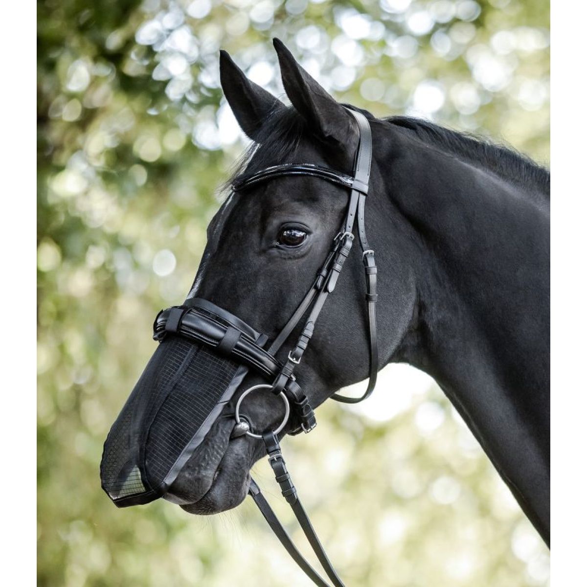 Waldhausen Rete nasale Nero