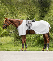 Waldhausen Fliegen-Ausreitdecke Protect Grigio argento/Grigio