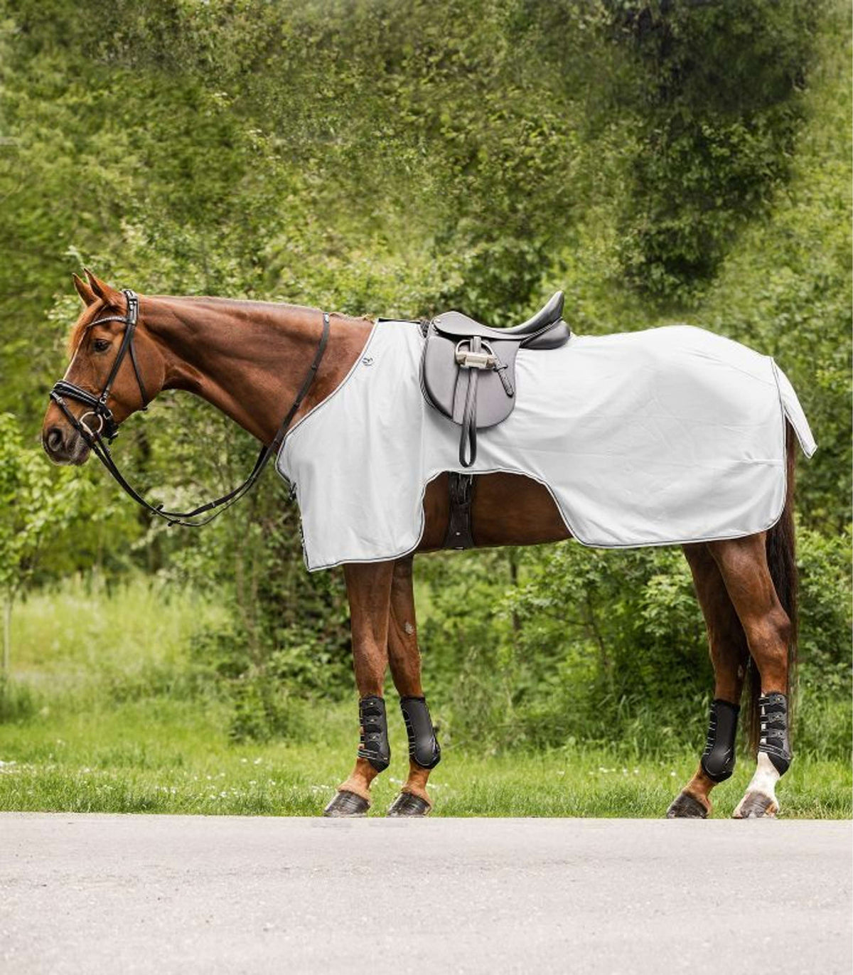 Waldhausen Fliegen-Ausreitdecke Protect Grigio argento/Grigio