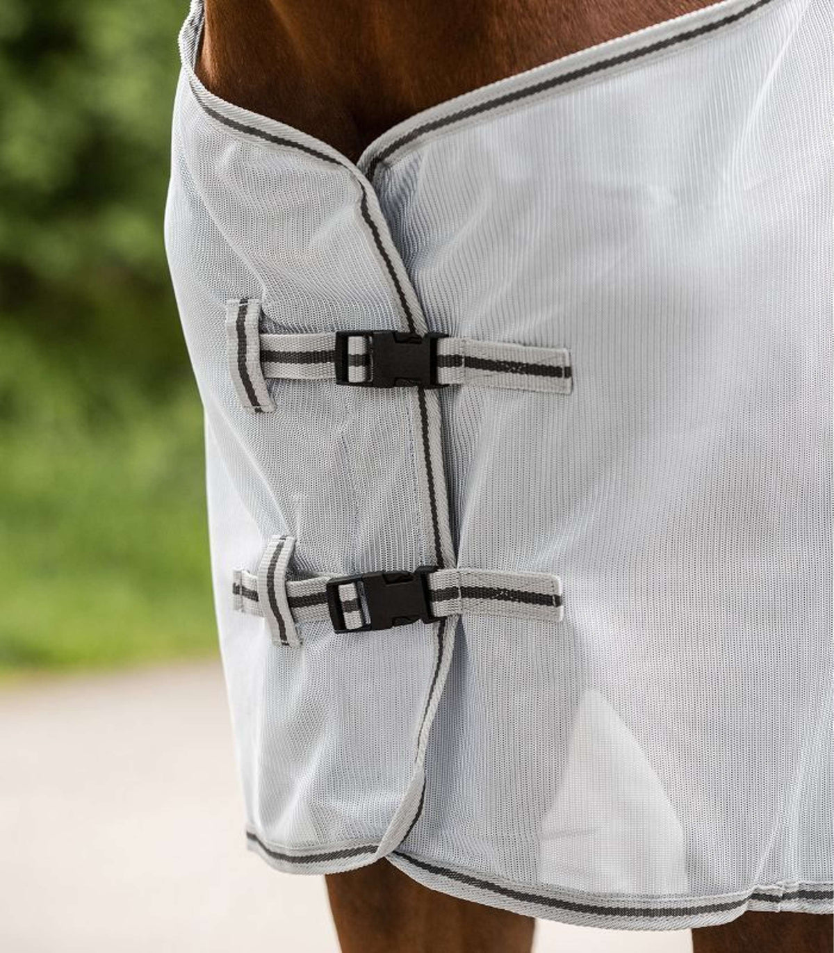 Waldhausen Fliegen-Ausreitdecke Protect Grigio argento/Grigio