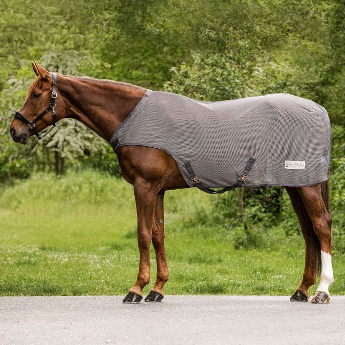 Waldhausen Fliegen/Laufbanddecke Comfort Grigio