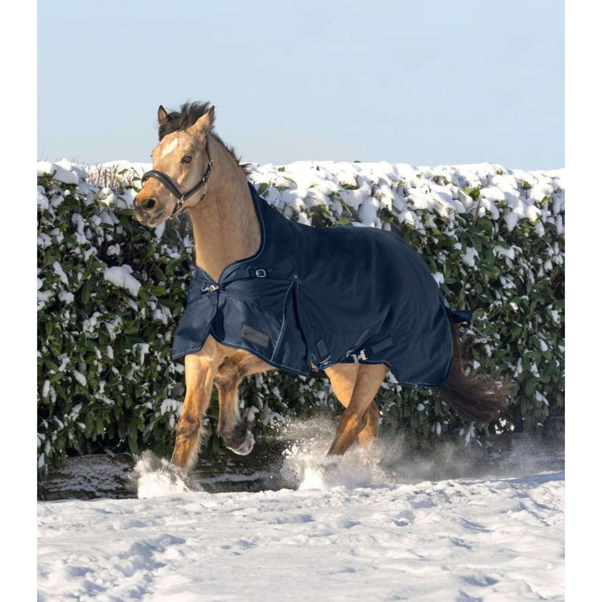 Waldhausen Tappeto da Esterno Scandic High Neck Blu notte