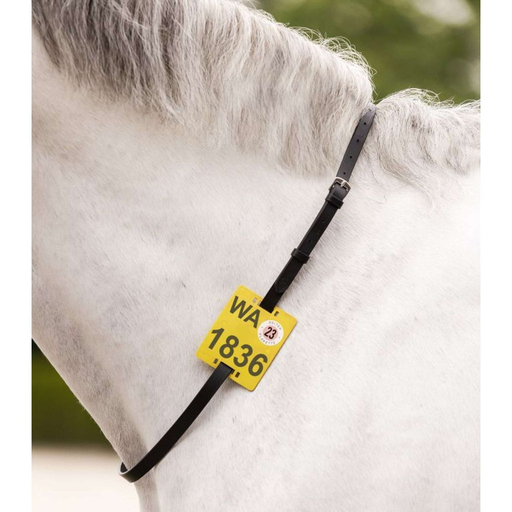 Waldhausen Cinghia da equitazione Nero