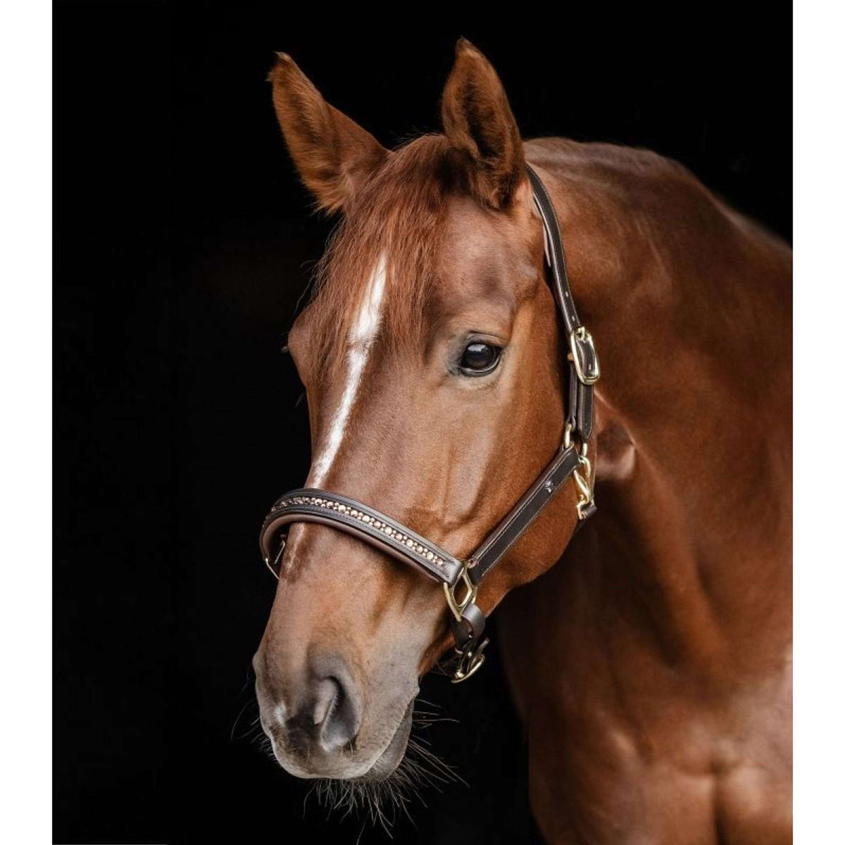 Waldhausen Capezzina Crystal Marrone/Oro