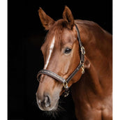 Waldhausen Capezzina Crystal Marrone/Oro