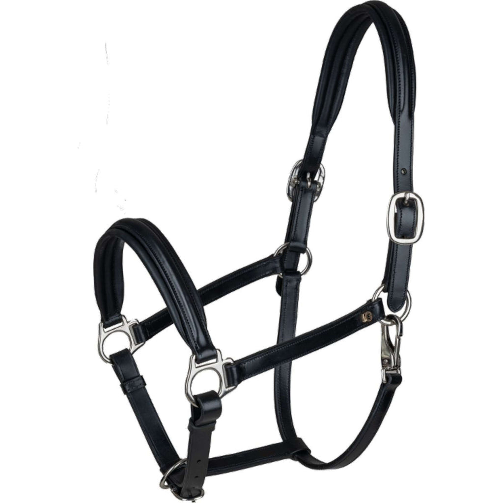 Waldhausen Cavezza S-Line Classy Pelle Nero
