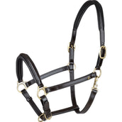 Waldhausen Capezzina S-Line Classy Marrone