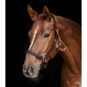 Waldhausen Capezzina S-Line Classy Marrone