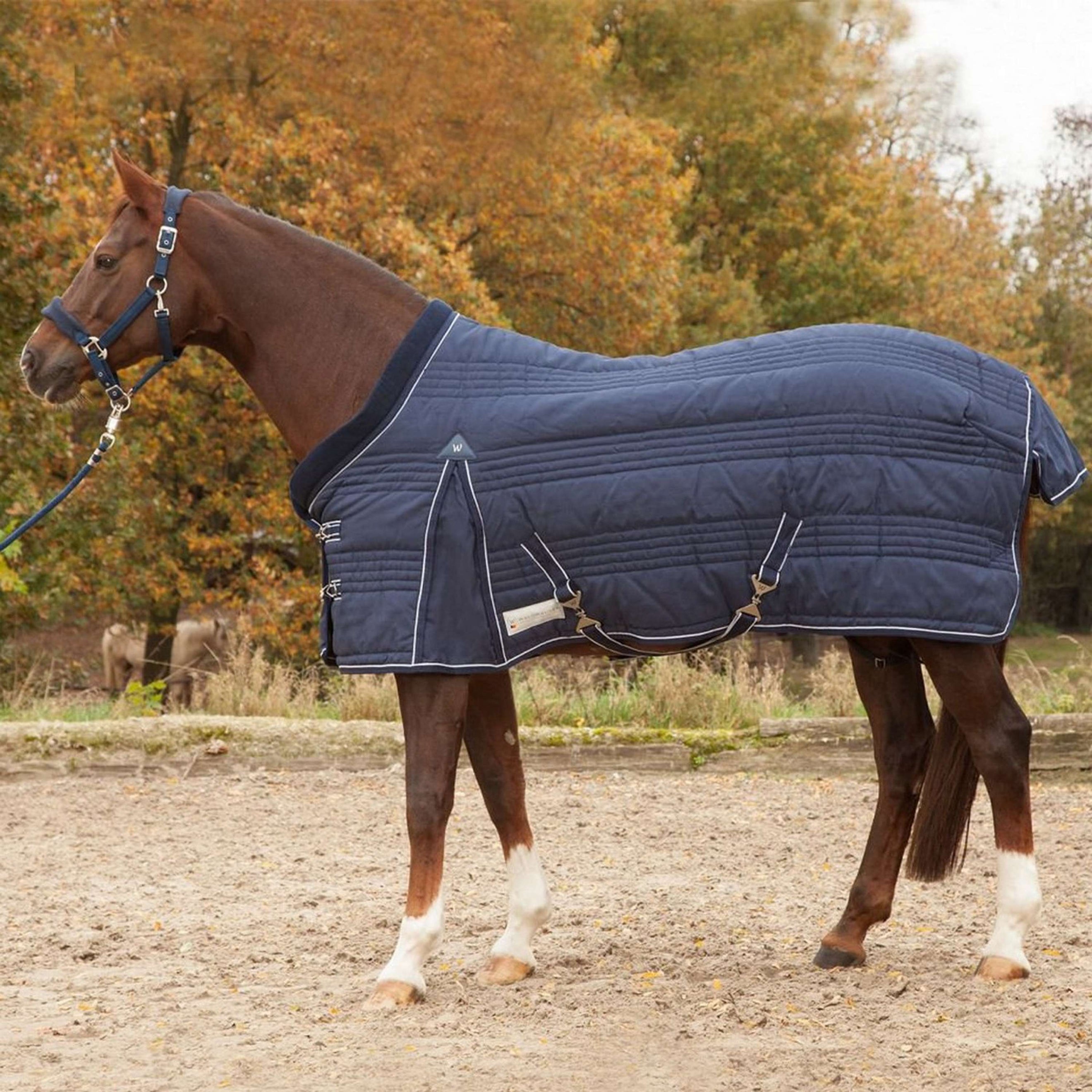 Waldhausen Coperta da scuderia Comfort Line 100g Nightblue
