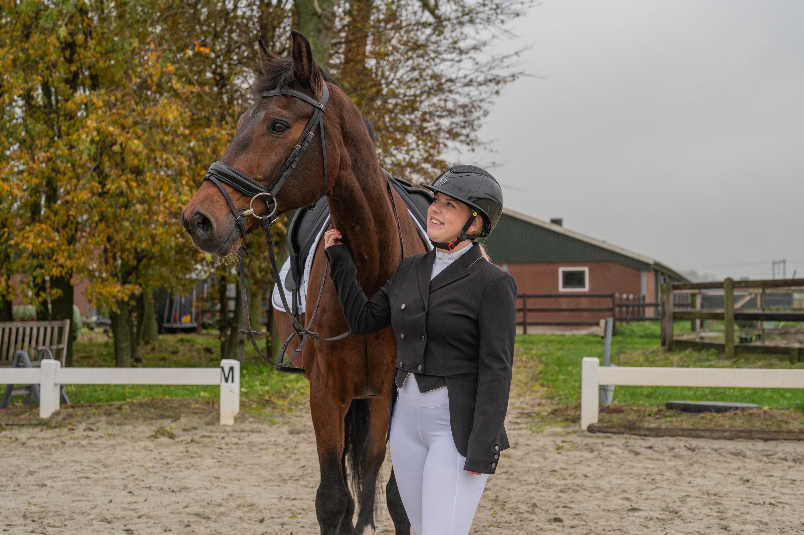 Set Da Competizione Per Cavallo
