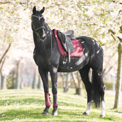 Imperial Riding Sottosella IRHJosie Dressage Fig