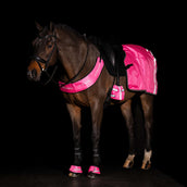 Imperial Riding Pettorina IRHReflective Pink