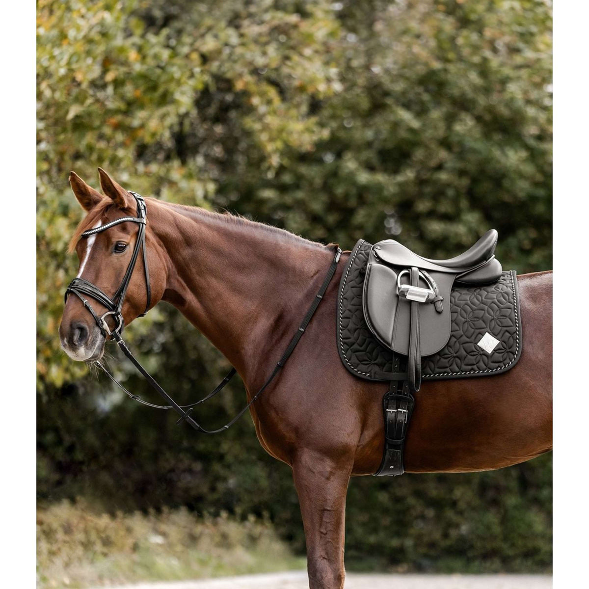 Waldhausen Sottosella Marseille Nero