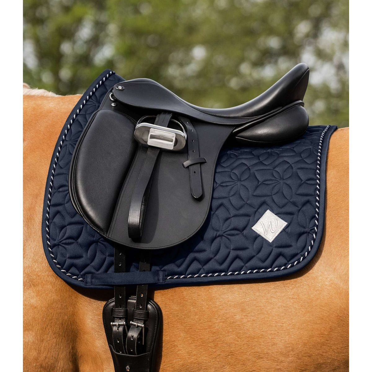 Waldhausen Sottosella Marseille Dressage Night Blue