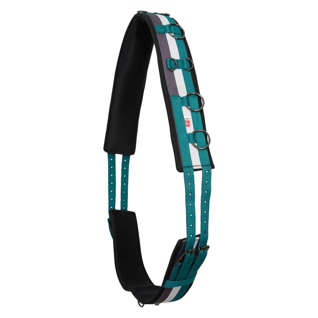 Imperial Riding Fascia da Addestramento IRHDeluxe Oceano