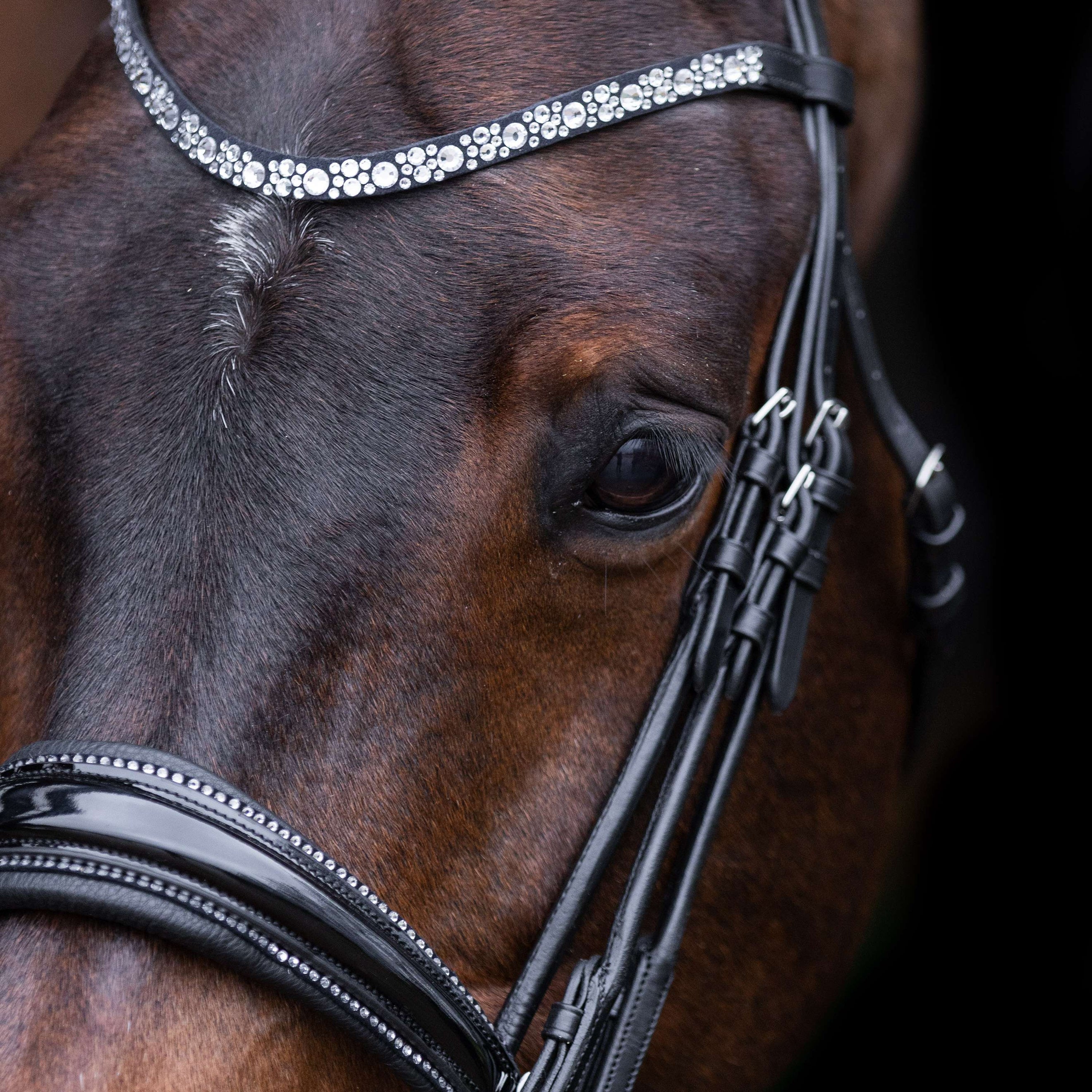Imperial Riding Briglia Doppia IRHOlympia Nero Argento Imperial Riding Briglia Doppia IRHOlympia Nero Argento