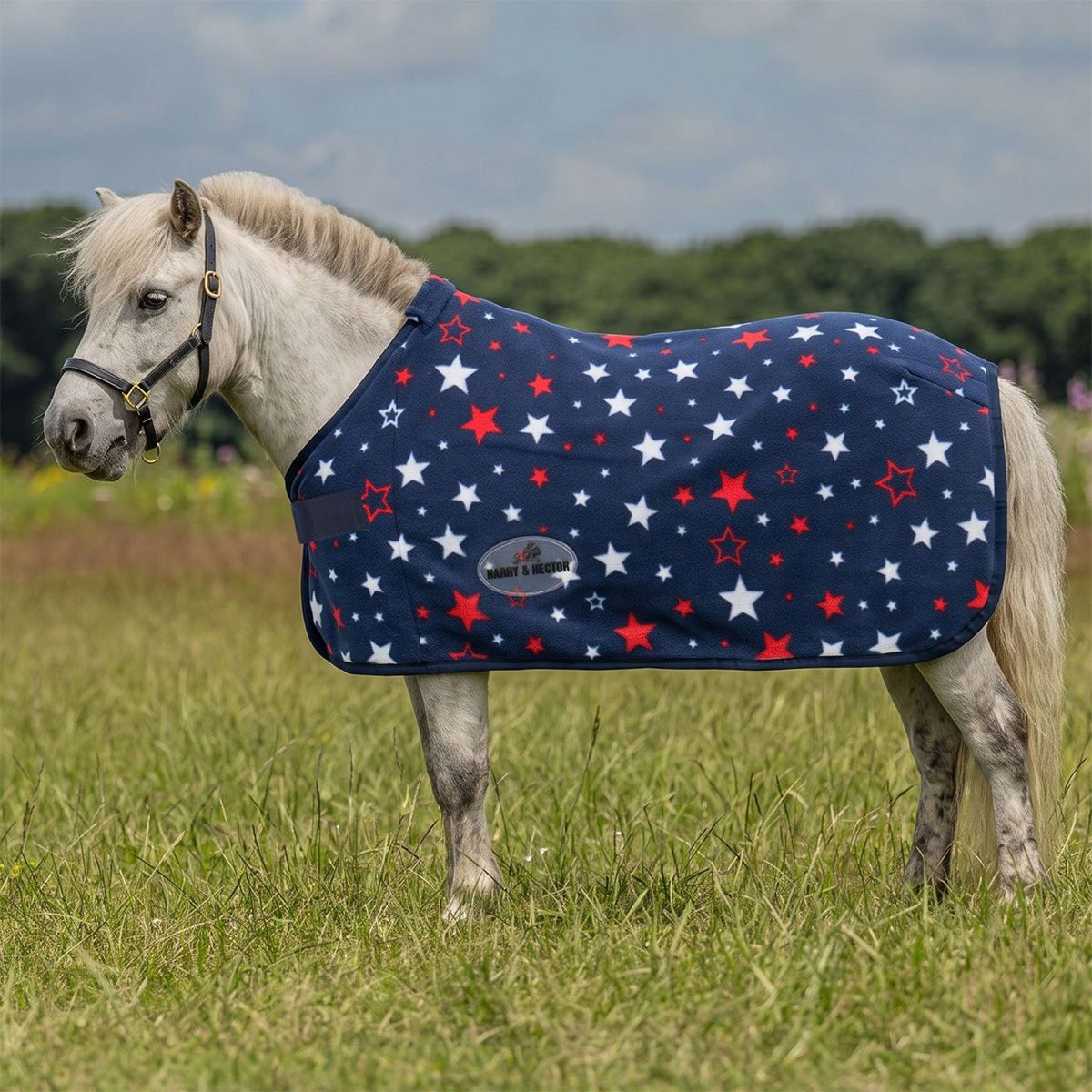 HB Coperta in pile Star Blu