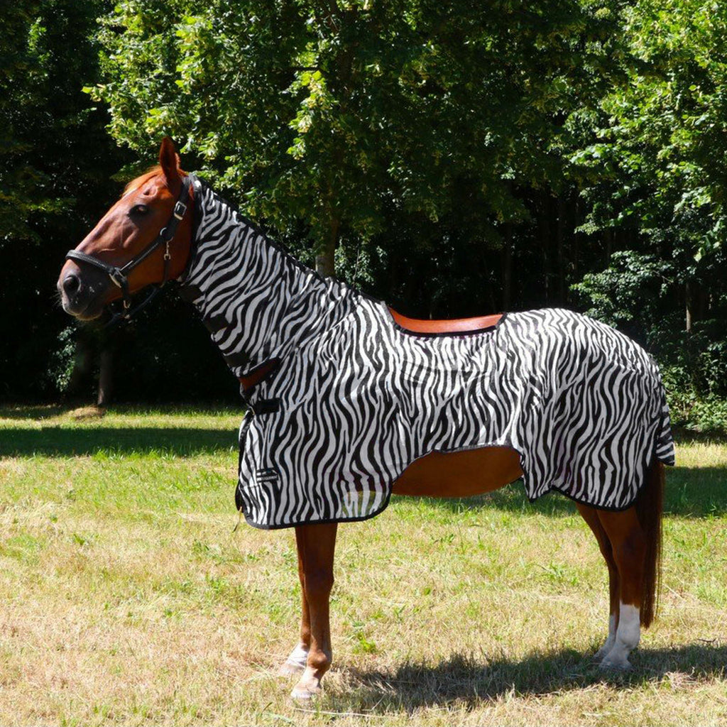 HKM Coperta da esercizio Mosche Zebra