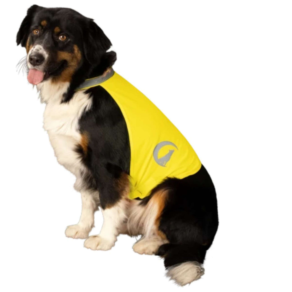 Excellent Gilet di sicurezza per cani Nightwalk Giallo