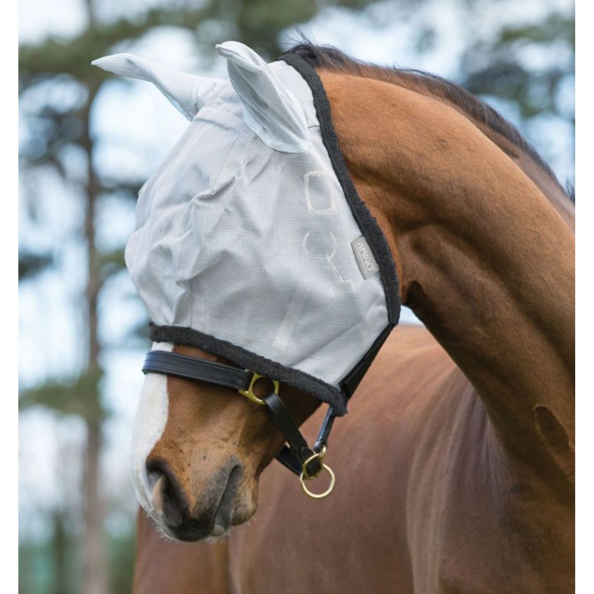 Amigo Fly Mask Argento/Grigio scuro