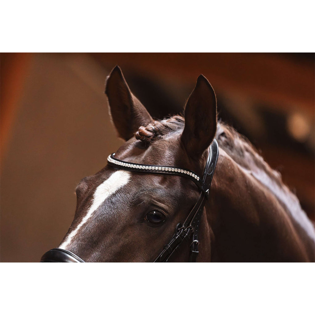 ANKY Briglia Profi ATH25001 Anatomisch Nero
