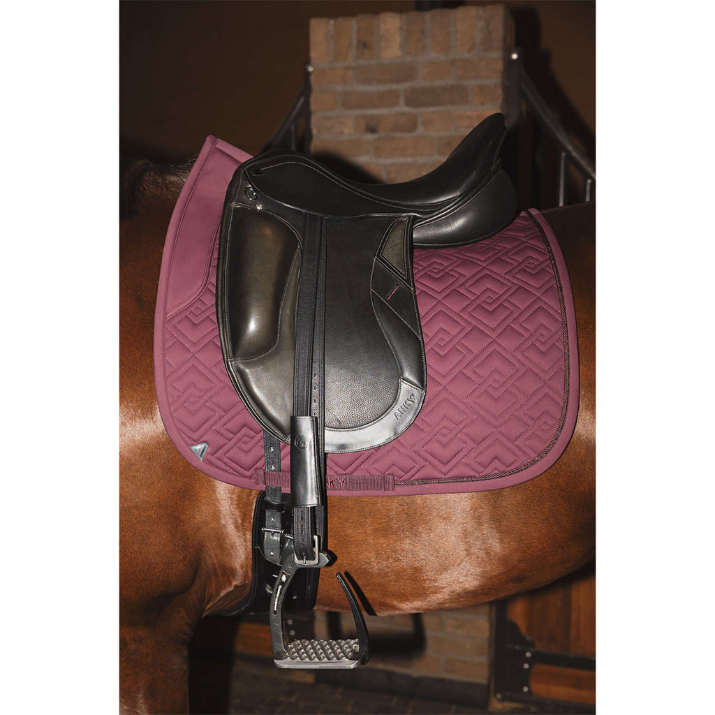 ANKY Sottosella Professional XB25001 3C Dressage Sassafras
