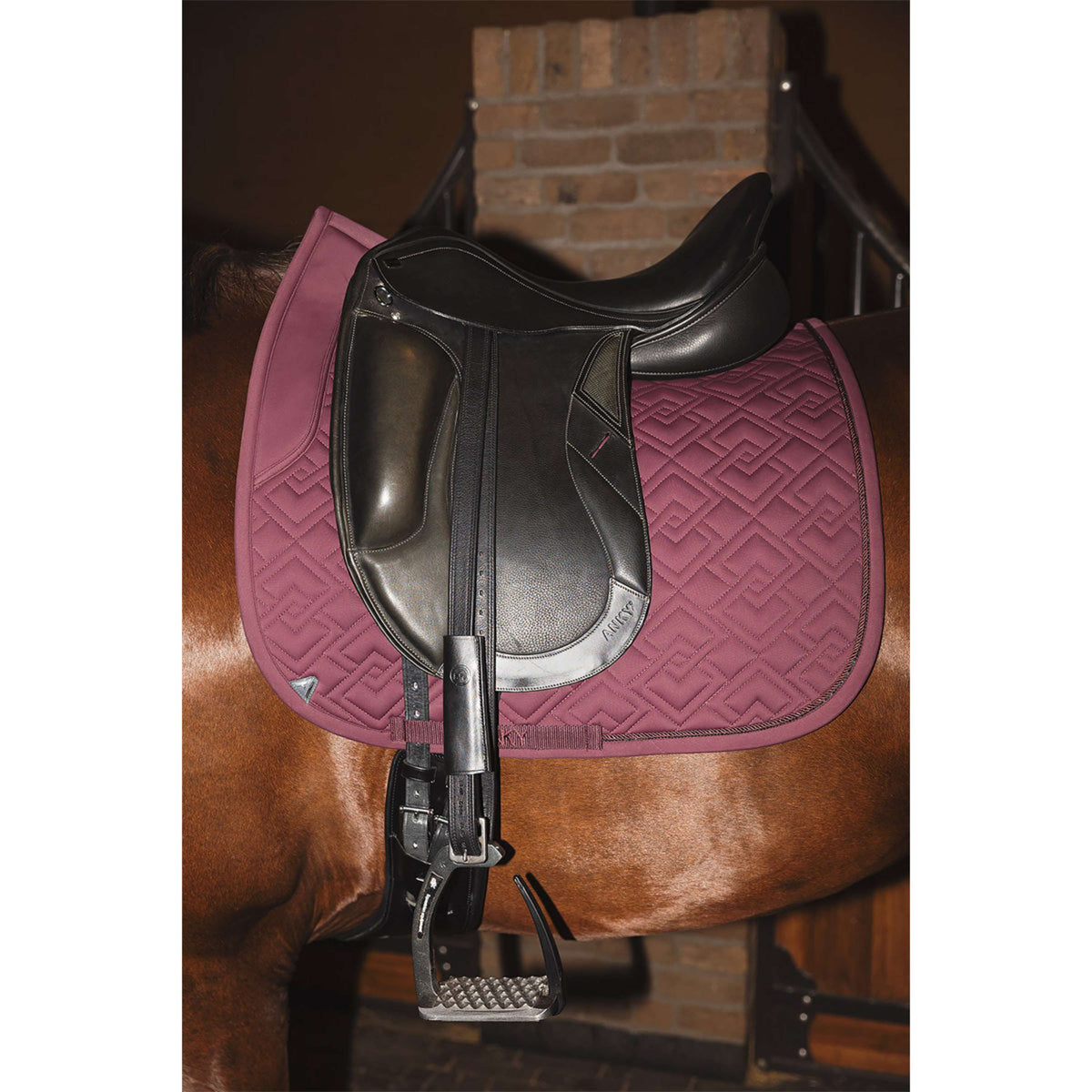 ANKY Sottosella Professional XB25001 3C Dressage Sassafras